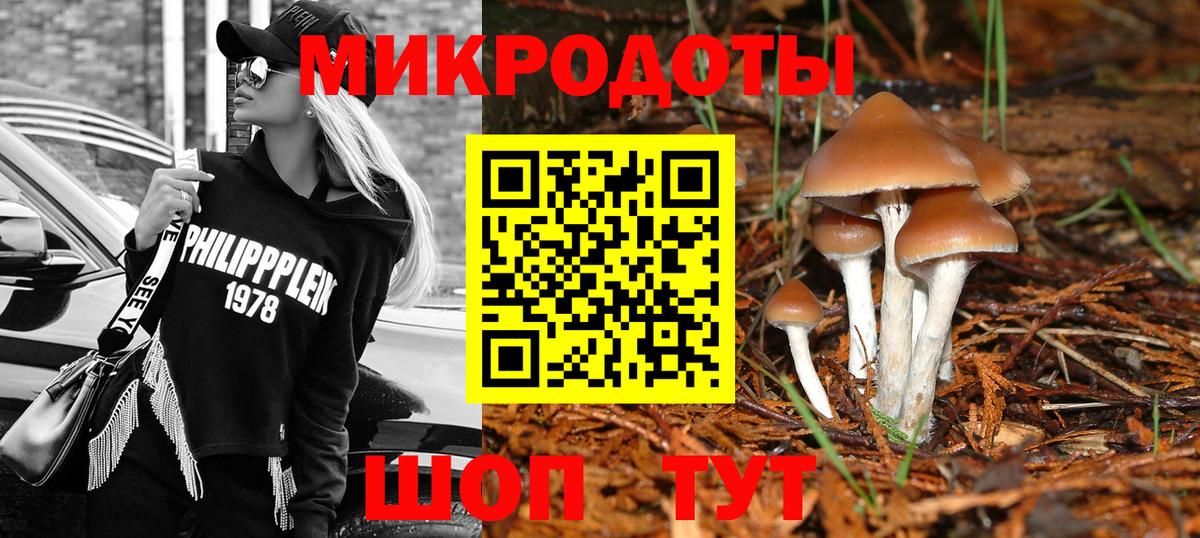 Альфа ПВП Надым