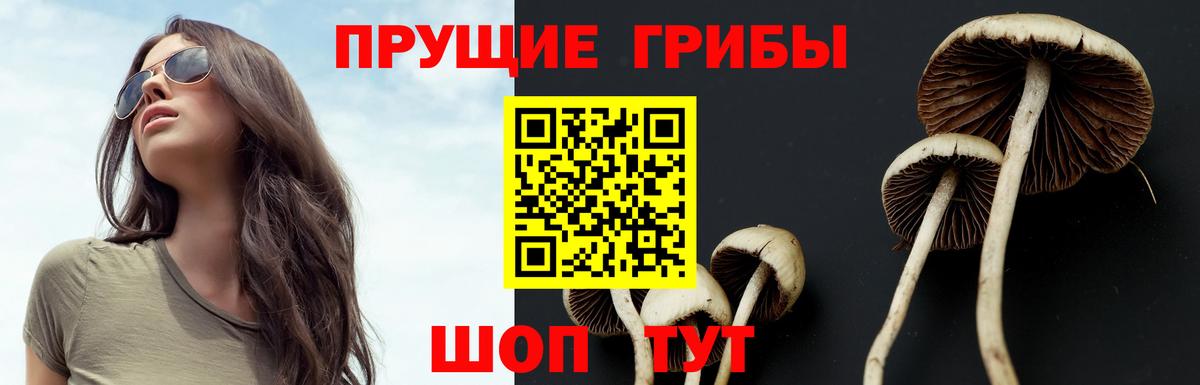 Надым  Псилоцибиновые грибы мухоморы  наркота  Вход с VPN 